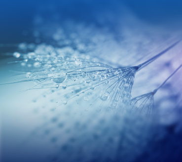 GUTSCHEIN für neXpresso schmuckdesign